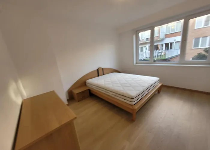 Ruim Dichtbij Zee Appartement